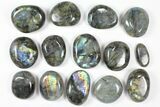 Lot: Polished Labradorite Pebbles - kg ( lbs) #90661-1